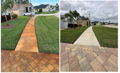 Dolphin Exterior Cleaning SWFL