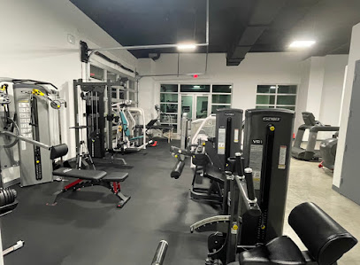 Theorem Strength & Longevity Lab
