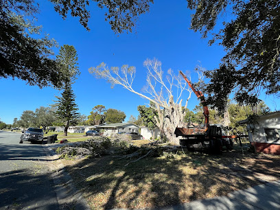 Buccaneer Tree Service
