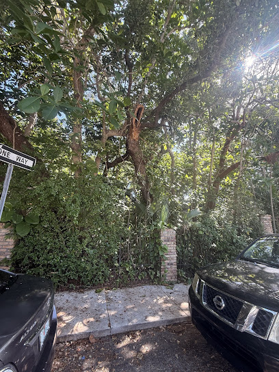Sunshine Grove Arbors