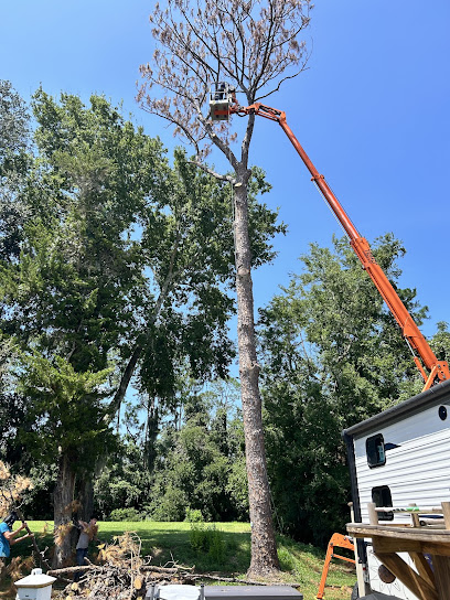 Southern Tree Experts, LLC
