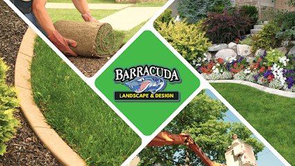 Barracuda Landscape & Curbing