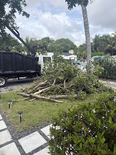 Rayner Tree Solution LLC