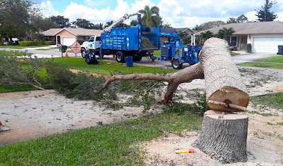 CK's Tree Service