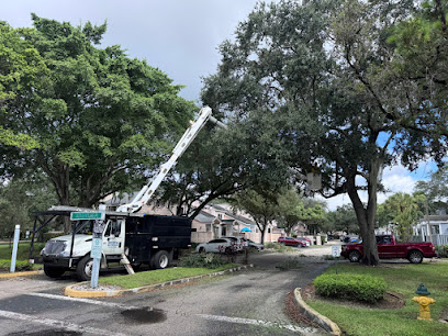 Service Queen Tree Service