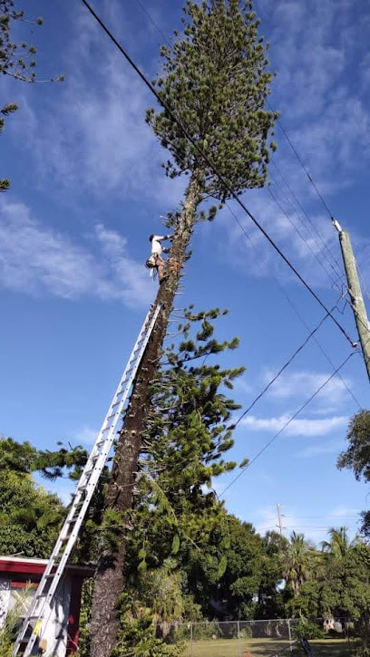 Tree Trimming and Removal Pros LLC