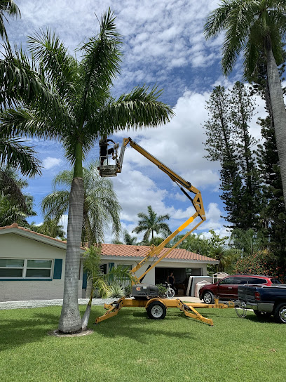 Clean View Tree Services