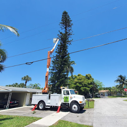 Tree Masters FL
