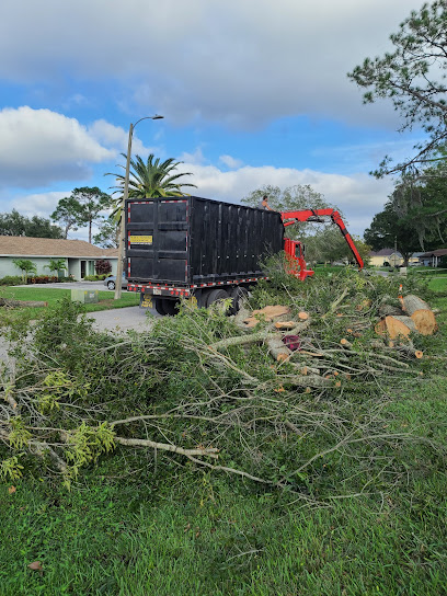 Wesley Chapel Tree Service