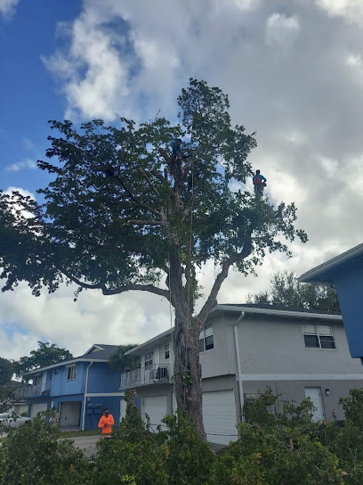 Riviera Beach Tree Service