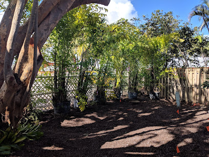 Arbor Tree and Landscape, Inc.