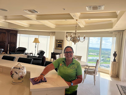 Delmy's Home Services SW Florida