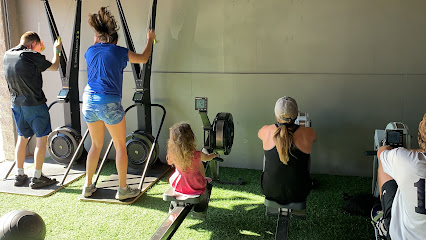 Impact Fitness
