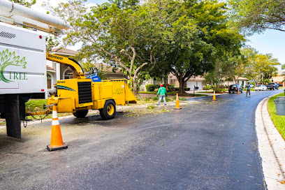 Real Tree Team Palm Beach