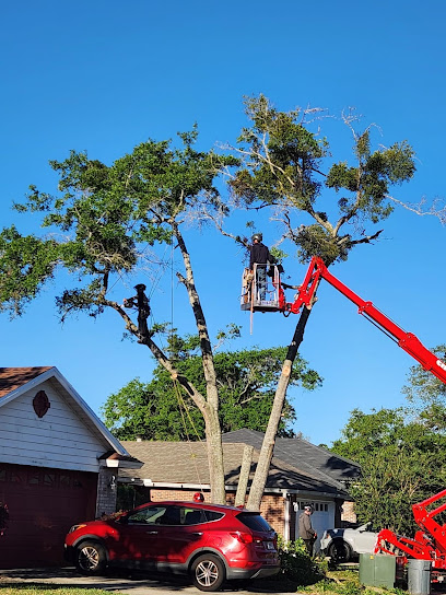 American Tree Solutions