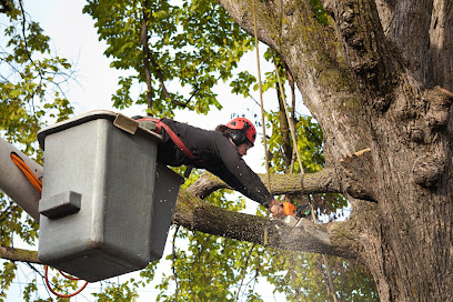 Paul Stetson Tree Service and Pressure Cleaning