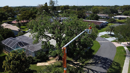 Perfect Trees Services Corp