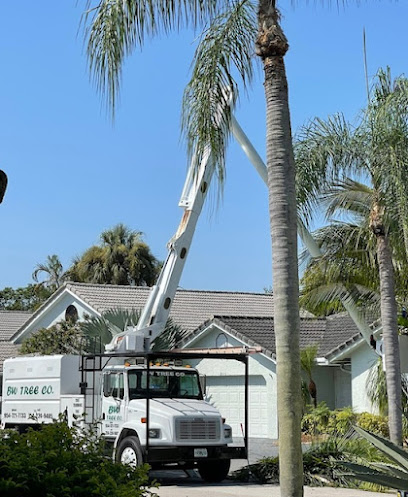 BW Tree Company LLC