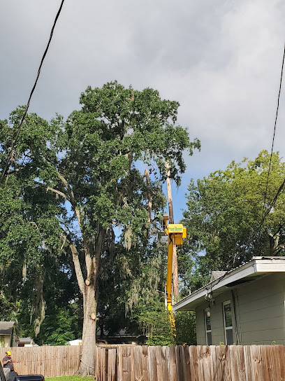 The Branch Manager Tree Service