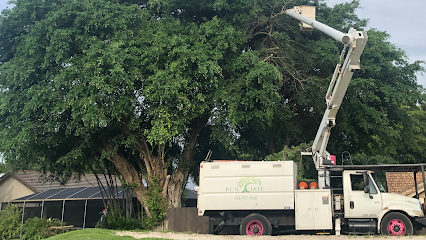 Real Tree Trimming & Landscaping, Inc.