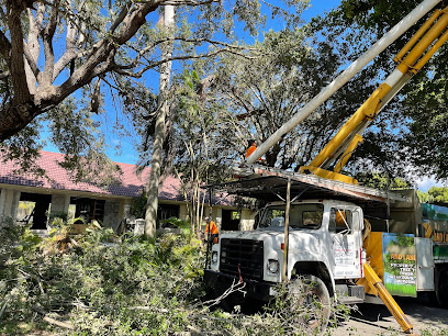 Sunshine Tree Trimming