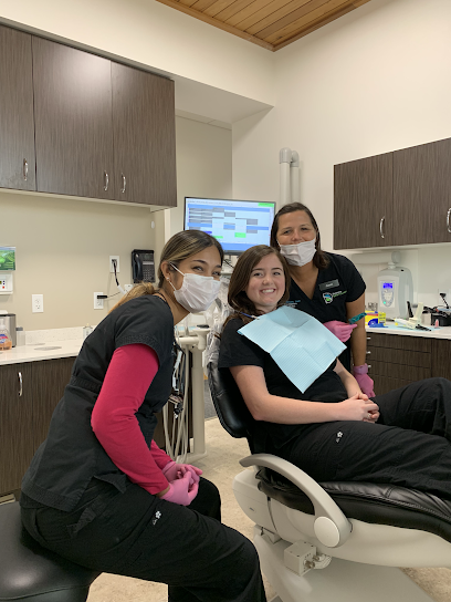 Sarasota Dentistry