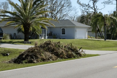 Coastal Crown Tree Services