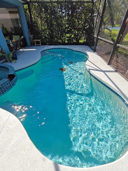 Helpful Tampa Pool Care