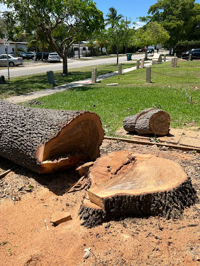Timber Trees Landscaping tree service