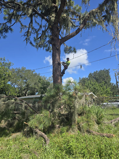Green Lawn Maintenance And Tree Services