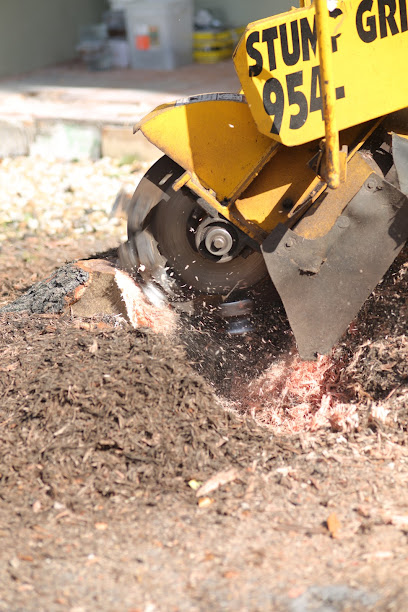 Sahara Stump Grinding