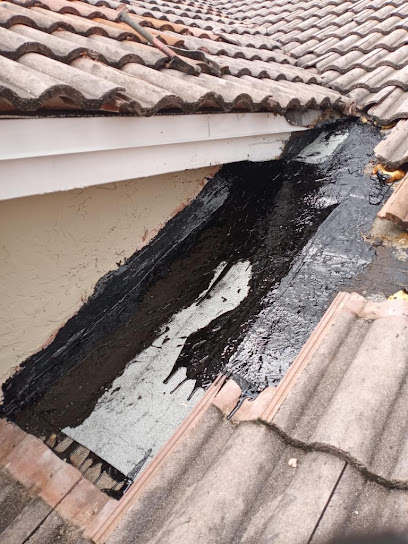 Restored Roofing