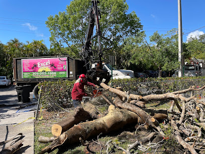 Excel Tree Service