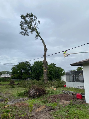 A&M Demolition and Tree Services