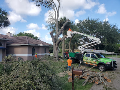 Delray Tree Service