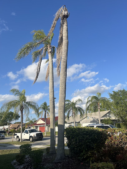 Lightning Tree Service