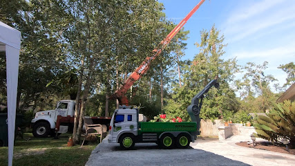 Custom Tree Surgeons