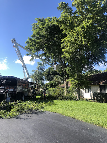 1,2,Tree Service