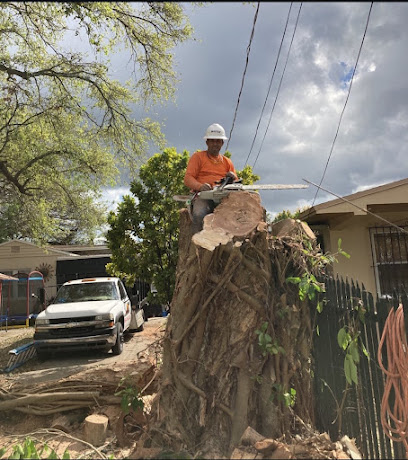 sanchez dorgys land services