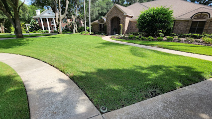 LadyBug Pest and Lawn