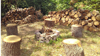T.B.B Tree Service