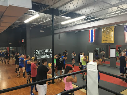 Freestyle Muay Thai