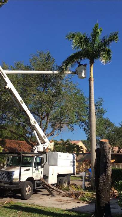 Affordable Tree Service Inc. - Tree Service Miami