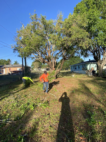 T's Trees and Landscaping