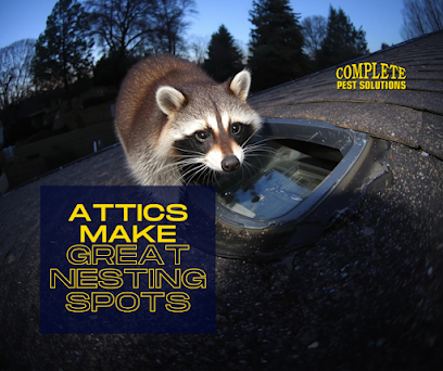 Complete Pest Solutions of Fort Myers