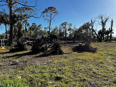 Seaview Stump & Tree Removal