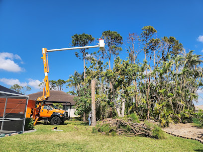 Southwest Tree Service LLC