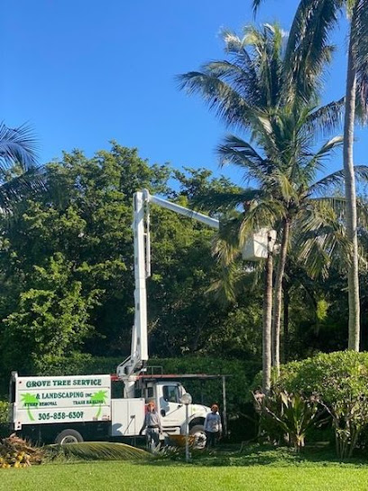 Grove Tree Service & Landscaping