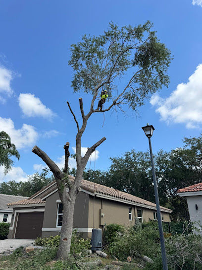 Tree Service of South Florida INC