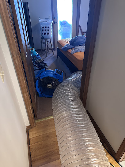 Mark Pest Bed Bugs Specialists